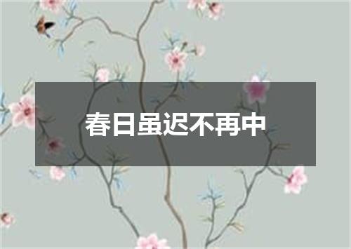 春日虽迟不再中