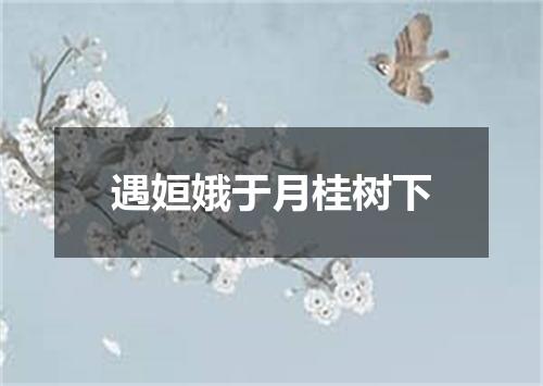 遇姮娥于月桂树下
