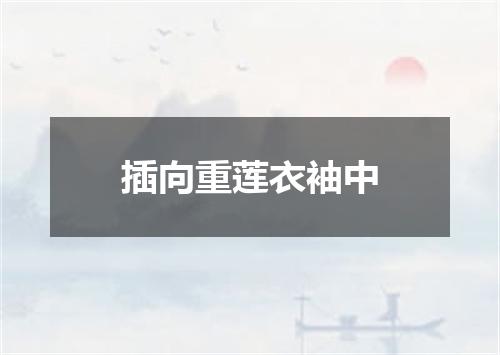 插向重莲衣袖中