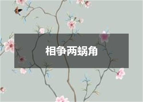 相争两蜗角