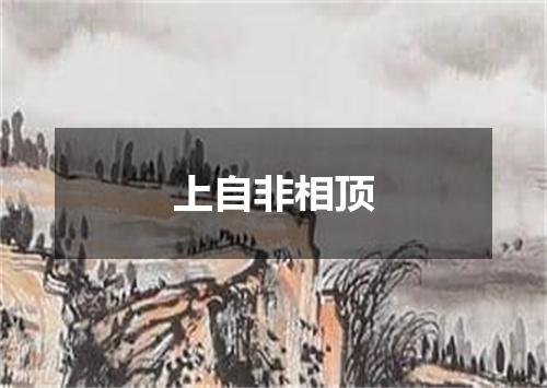 上自非相顶