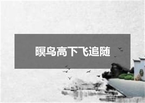 暝鸟高下飞追随