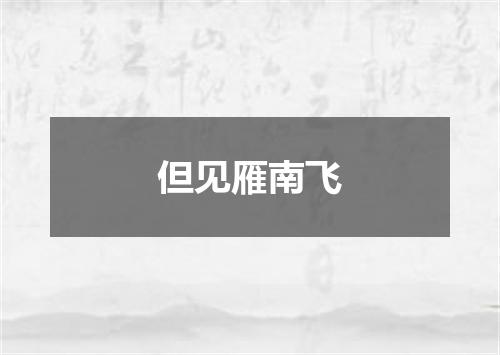 但见雁南飞