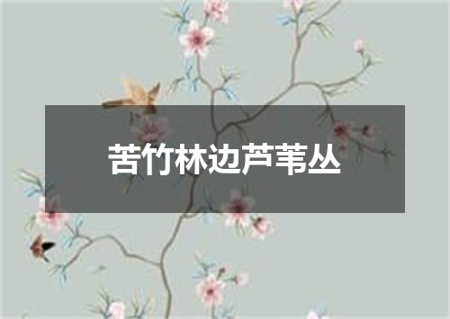 苦竹林边芦苇丛
