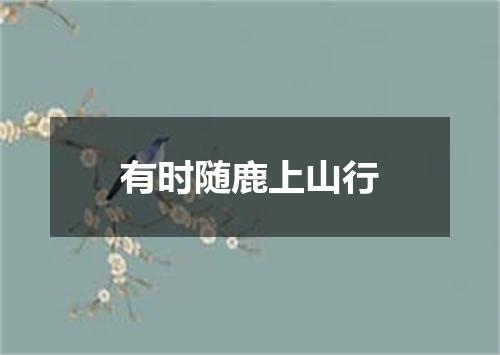 有时随鹿上山行