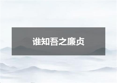 谁知吾之廉贞