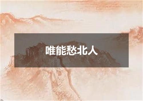 唯能愁北人