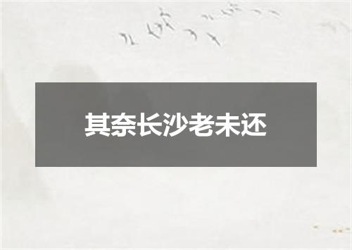 其奈长沙老未还