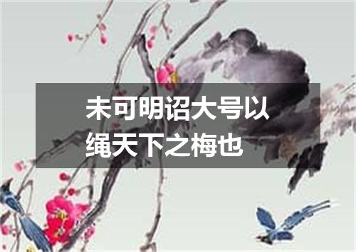 未可明诏大号以绳天下之梅也