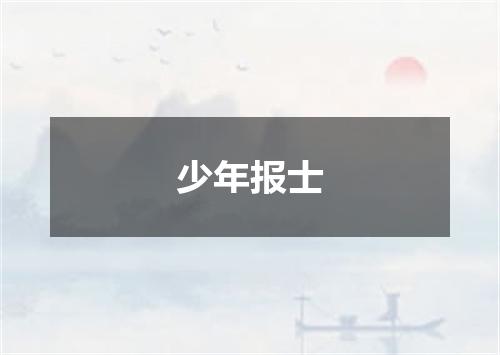 少年报士
