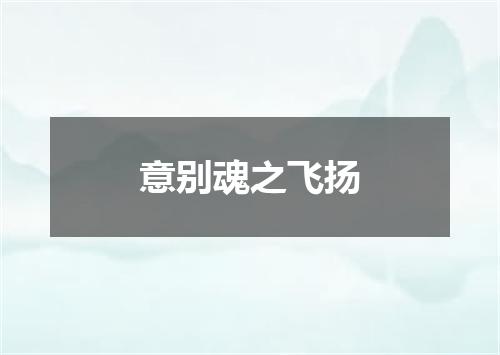 意别魂之飞扬