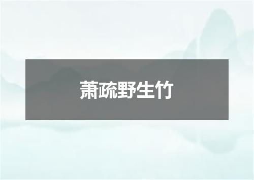 萧疏野生竹