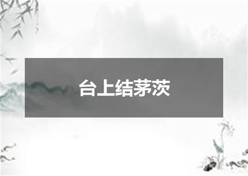 台上结茅茨