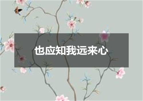 也应知我远来心