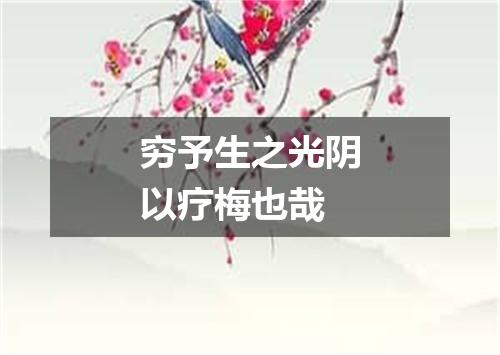 穷予生之光阴以疗梅也哉