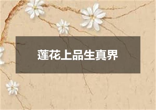 莲花上品生真界