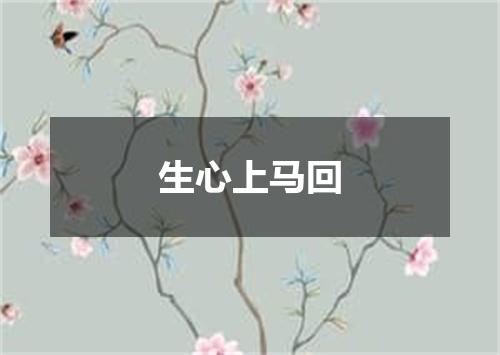 生心上马回