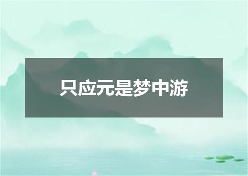 只应元是梦中游