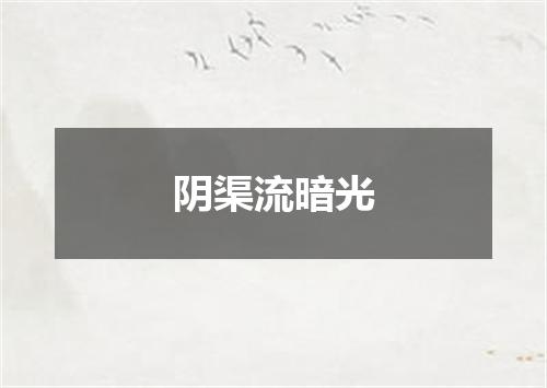 阴渠流暗光