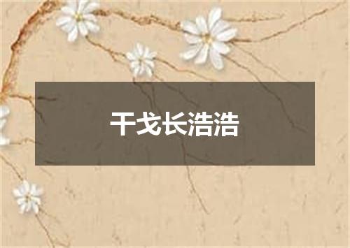 干戈长浩浩