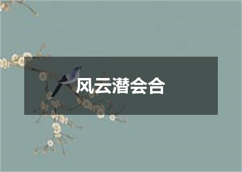 风云潜会合