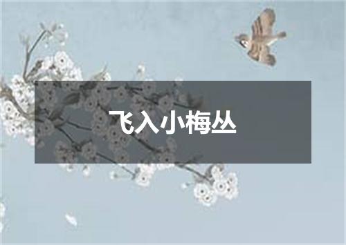 飞入小梅丛