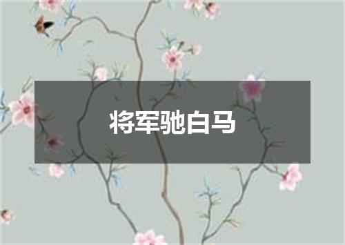 将军驰白马