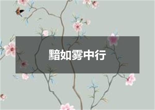 黯如雾中行