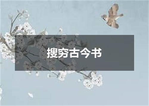 搜穷古今书