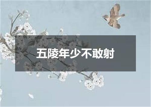 五陵年少不敢射