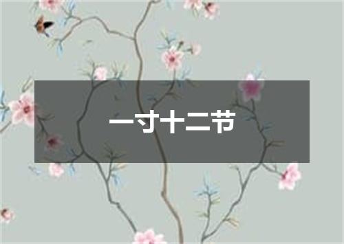 一寸十二节