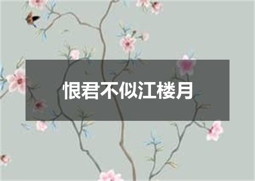 恨君不似江楼月