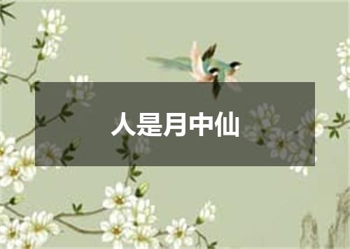 人是月中仙