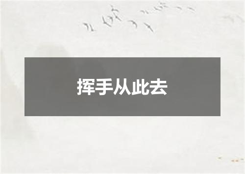 挥手从此去