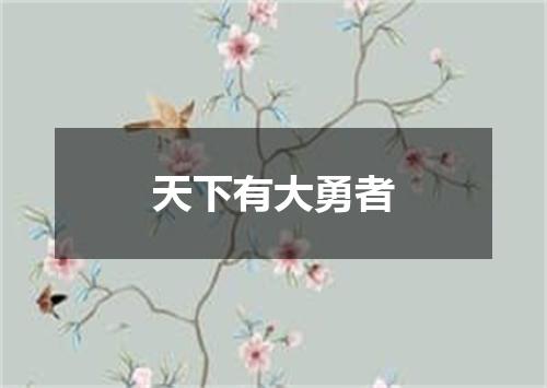 天下有大勇者