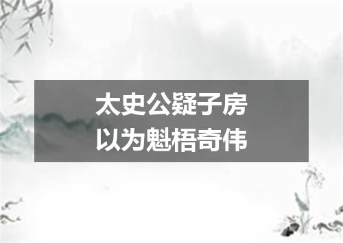 太史公疑子房以为魁梧奇伟