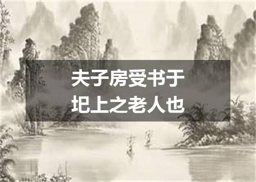 夫子房受书于圯上之老人也
