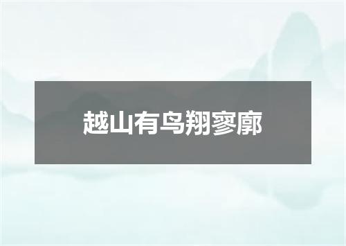 越山有鸟翔寥廓