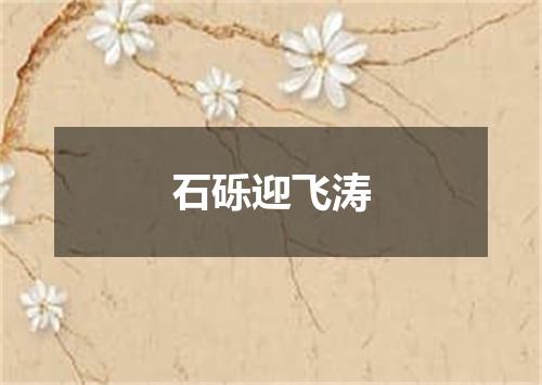 石砾迎飞涛