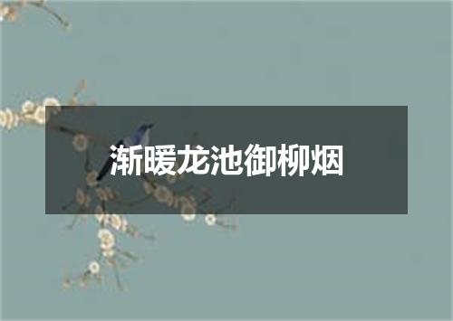 渐暖龙池御柳烟