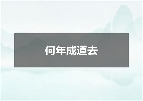 何年成道去