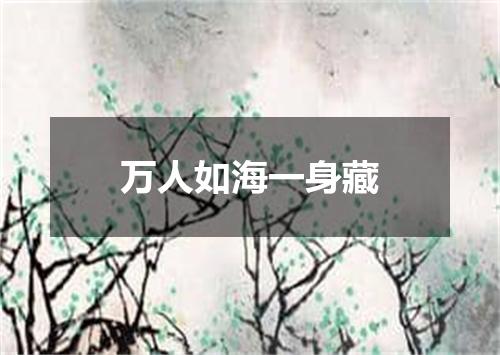 万人如海一身藏
