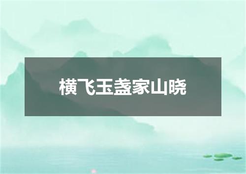 横飞玉盏家山晓