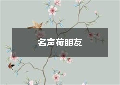 名声荷朋友