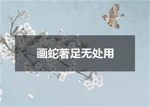 画蛇著足无处用