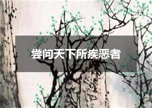 尝问天下所疾恶者