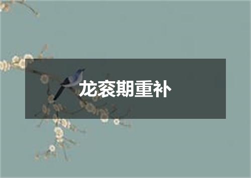 龙衮期重补