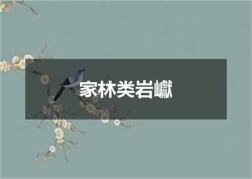 家林类岩巘