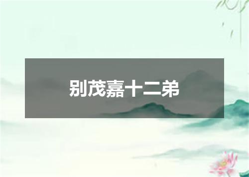 别茂嘉十二弟