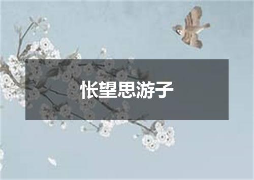 怅望思游子